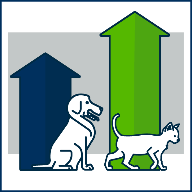 Does pet health insurance make sense for clients?