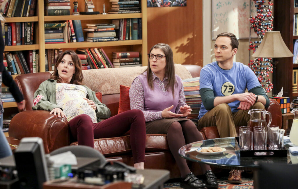 Mayim Bialik auditioned for 'The Big Bang Theory' to get health insurance