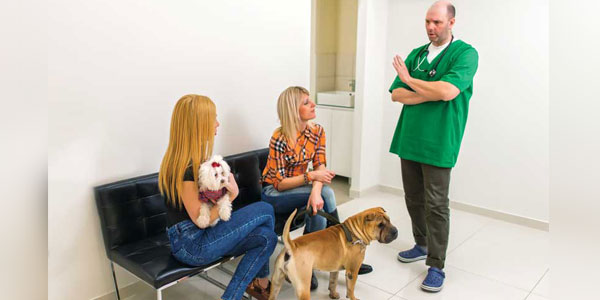 Navigating the pet health insurance fervor