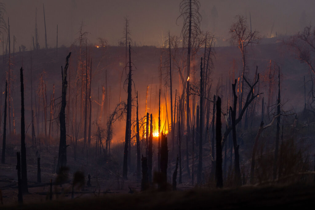 Climate Change Is Costing Americans as Insurance Rates Headed for a Spike